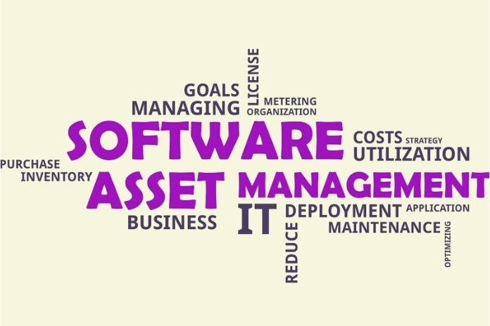 Strategic Software Asset Management