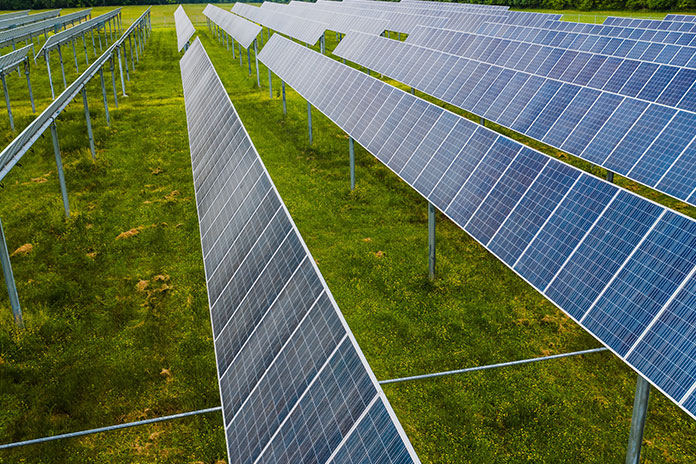 How Solar Businesses Affect The Long-Term Health Of Agriculture