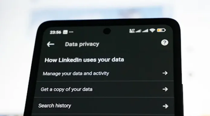 How Strong Data Safeguards Support Long-Term Business Stability